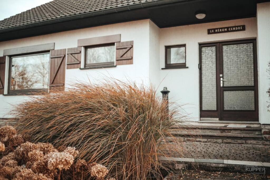 Le Heron 28Pers, Malmedy- Home Cinema, Balneo, Sauna, Jardin Buitenkant foto