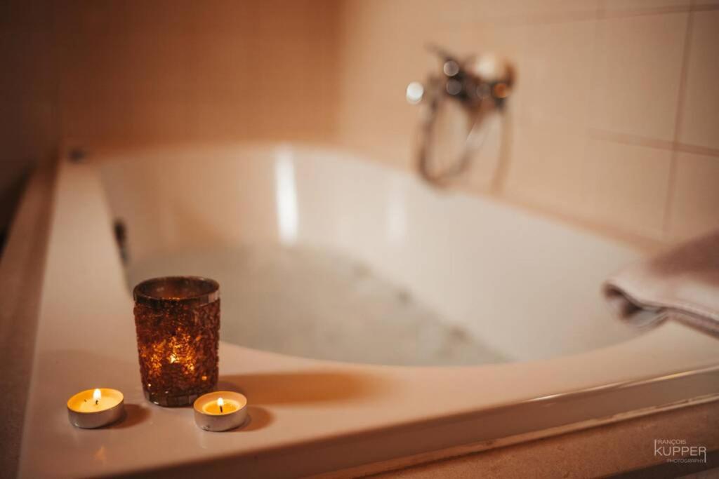 Le Heron 28Pers, Malmedy- Home Cinema, Balneo, Sauna, Jardin Buitenkant foto
